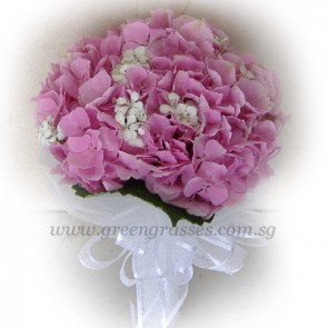 WB09517 ROM-Pk Hydrangea hand bouquet