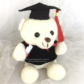 AB011903-6" Wh Graduation Bear