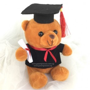 AB011904-6" Brown Graduation Bear